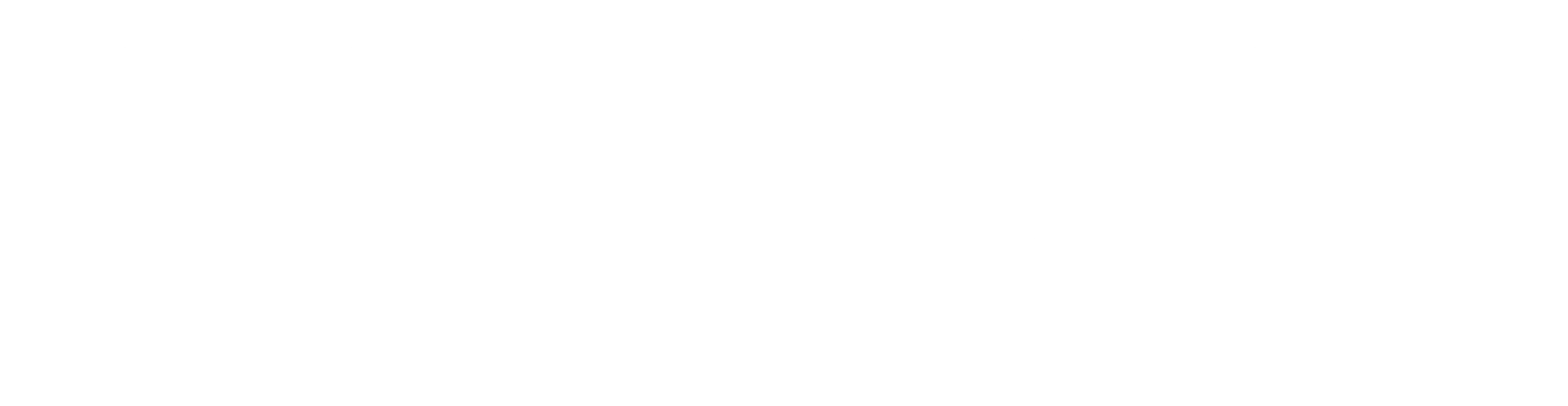 Pronto Shoes